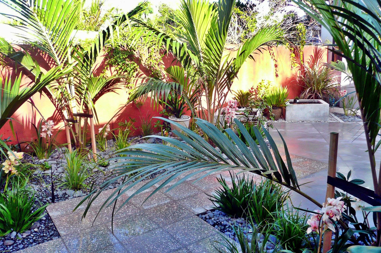 Nikau Palm Courtyard 