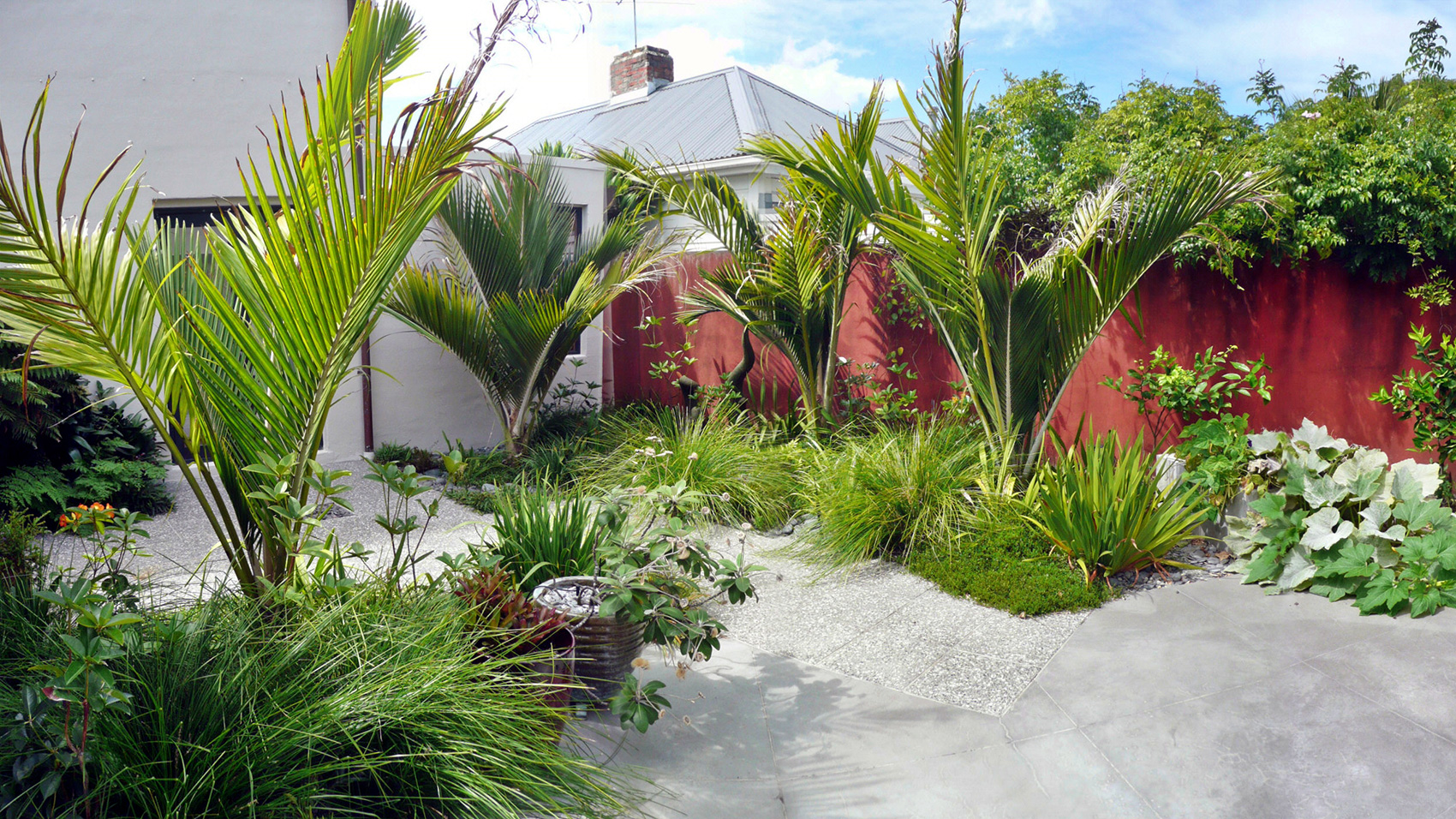 Nikau Palm Courtyard 