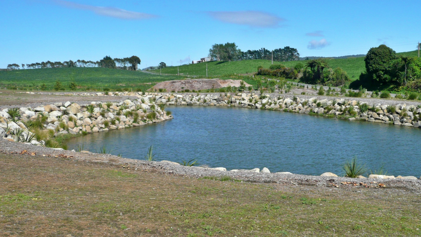 Stormwater Pond Reserve 